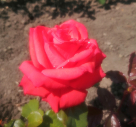 Маниту(Manitou)